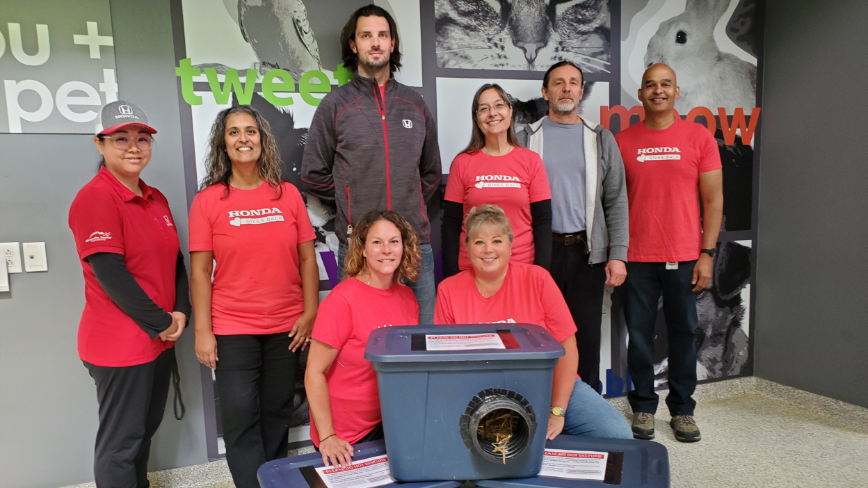 Un groupe d’employés de Honda à l’intérieur d’un centre de sauvetage pour animaux de compagnie.