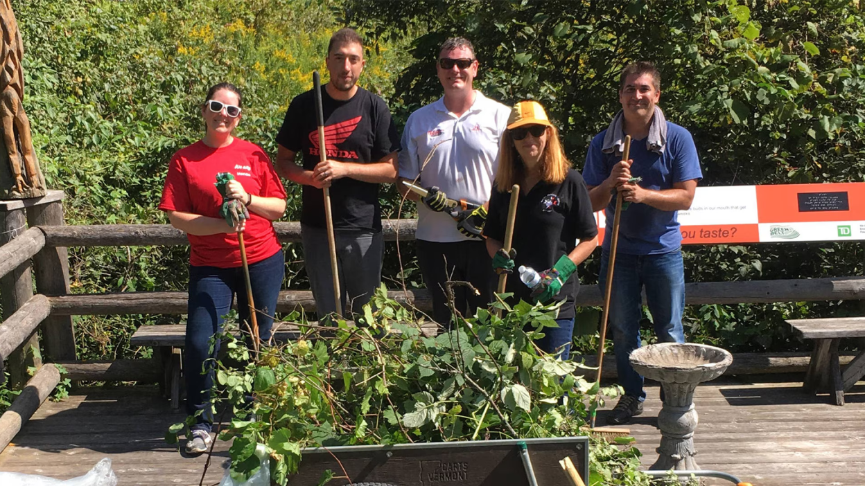 Un groupe d’employés de Honda faisant du bénévolat avec des pelles dans un jardin communautaire.