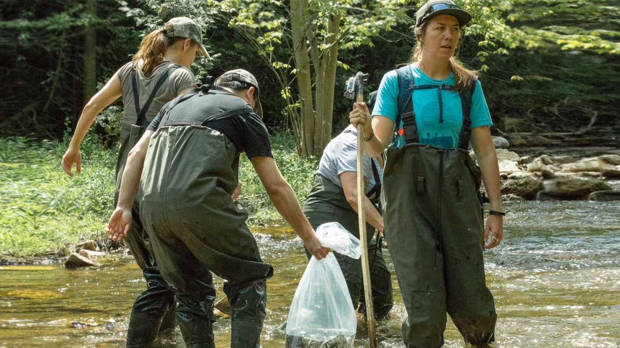 Un groupe d’employés de Honda en pantalon-bottes en train de nettoyer une rivière.