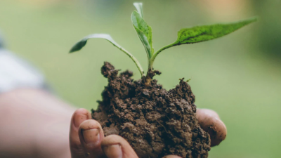 Hands holding dirt with a small plant sapling.